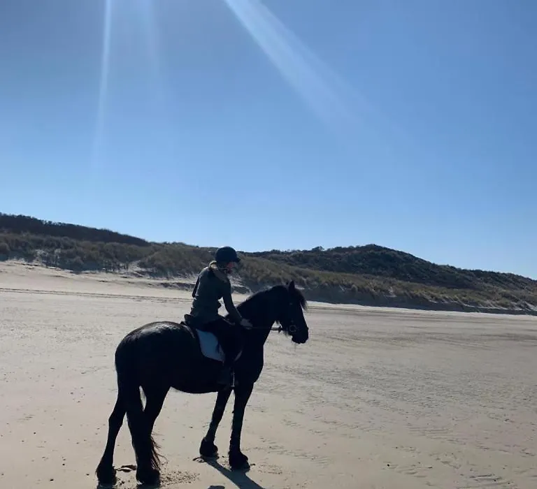Groot vakantiehuis direct aan het Zeeuwse strand-1